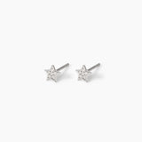 Orecchini a stella in argento con zirconi
LITTLE JOY 563876